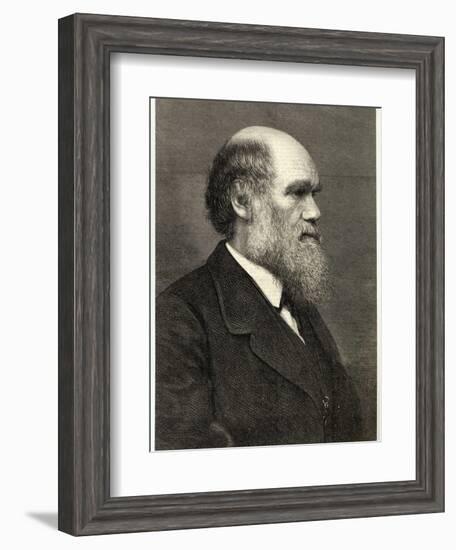 Charles Darwin Naturalist-null-Framed Photographic Print