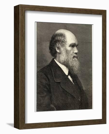 Charles Darwin Naturalist-null-Framed Photographic Print