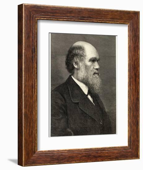 Charles Darwin Naturalist-null-Framed Photographic Print