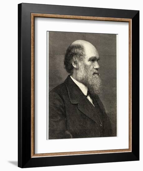 Charles Darwin Naturalist-null-Framed Photographic Print