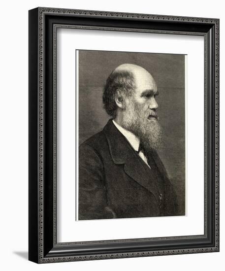 Charles Darwin Naturalist-null-Framed Photographic Print