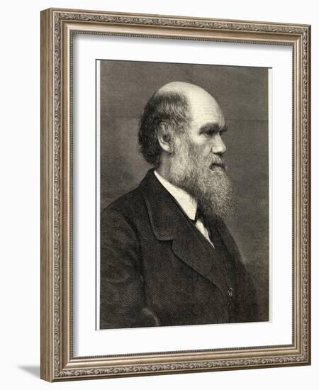 Charles Darwin Naturalist-null-Framed Photographic Print