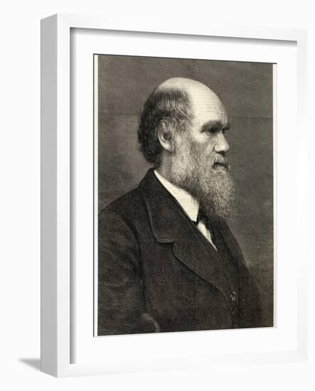 Charles Darwin Naturalist-null-Framed Photographic Print