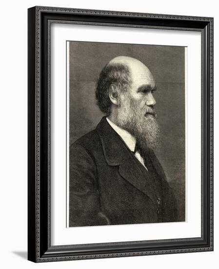 Charles Darwin Naturalist-null-Framed Photographic Print