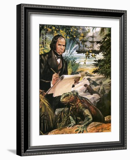 Charles Darwin on the Galapagos Islands-Andrew Howat-Framed Giclee Print