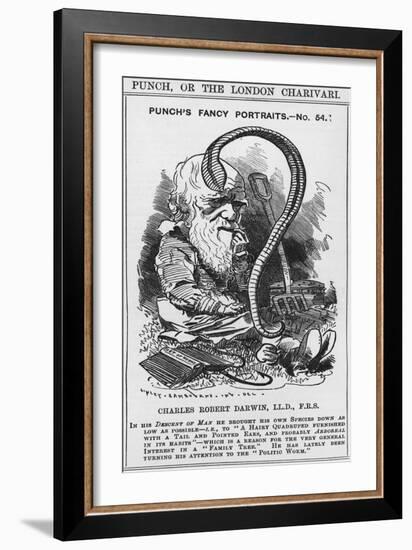 Charles Darwin, Punch's Fancy Portraits, Illustration from 'Punch' or 'The London Charivari', 1881-Edward Linley Sambourne-Framed Giclee Print