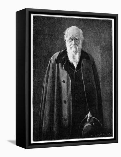 Charles Darwin, Renowned Naturalist and Thinker-John Collier-Framed Premier Image Canvas