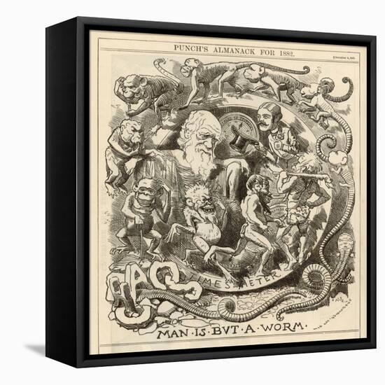 Charles Darwin Satire: Man is But a Worm-null-Framed Premier Image Canvas