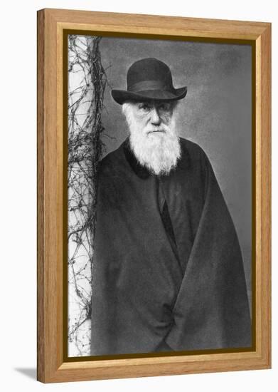 Charles Darwin-null-Framed Premier Image Canvas