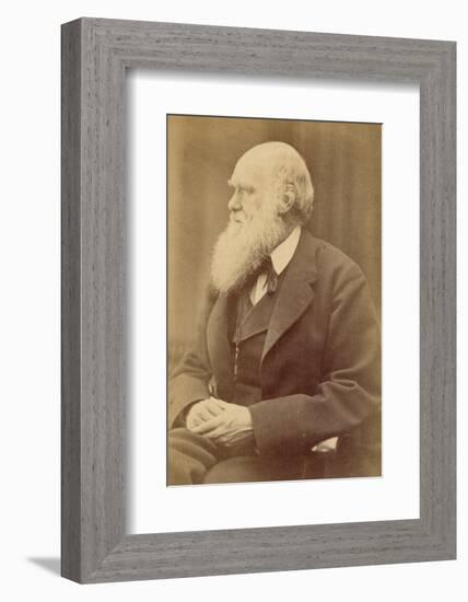 Charles Darwin-null-Framed Photographic Print