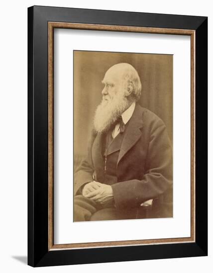 Charles Darwin-null-Framed Photographic Print