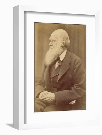 Charles Darwin-null-Framed Photographic Print