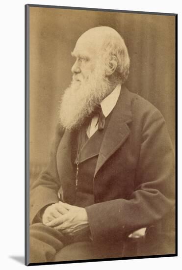 Charles Darwin-null-Mounted Photographic Print