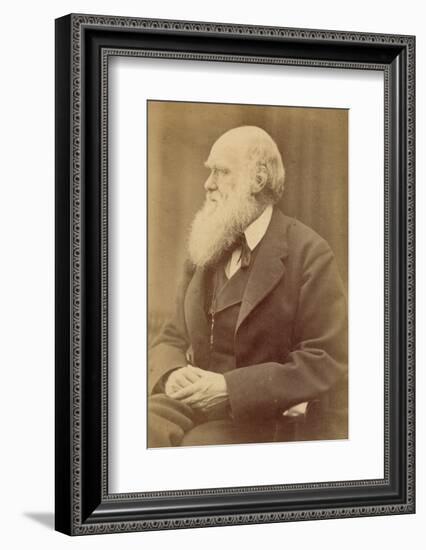 Charles Darwin-null-Framed Photographic Print