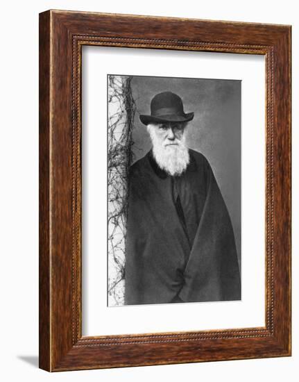 Charles Darwin-null-Framed Photographic Print