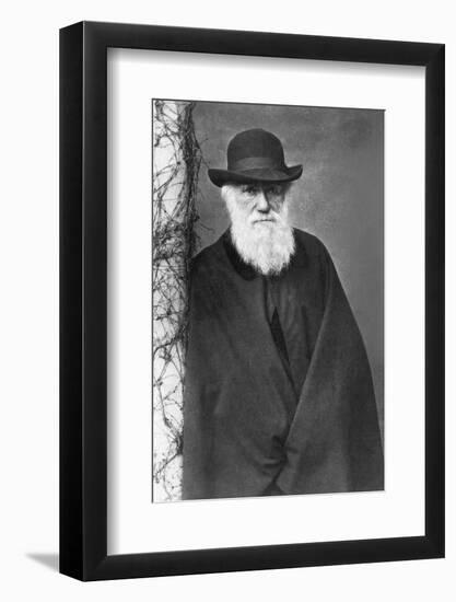 Charles Darwin-null-Framed Photographic Print