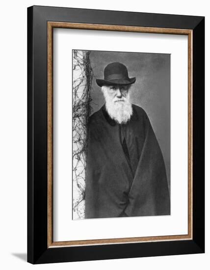 Charles Darwin-null-Framed Photographic Print