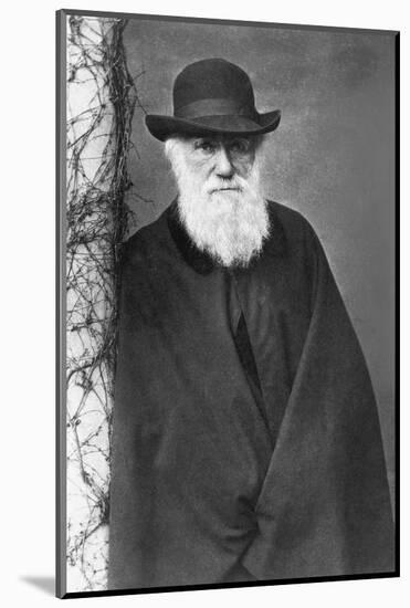 Charles Darwin-null-Mounted Photographic Print