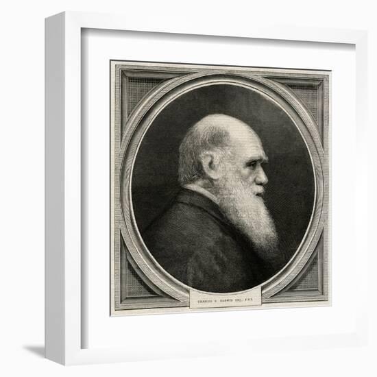 Charles Darwin-null-Framed Art Print