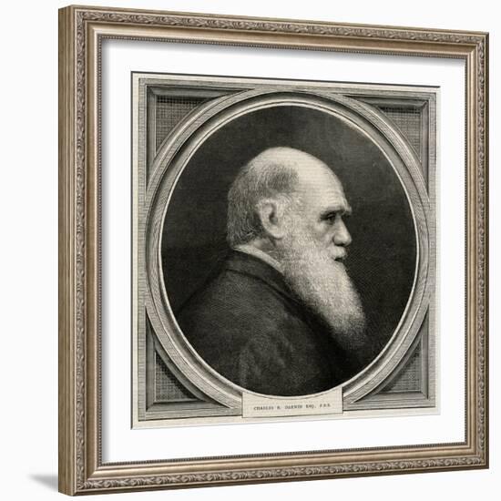 Charles Darwin-null-Framed Art Print