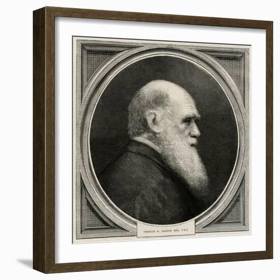 Charles Darwin-null-Framed Art Print