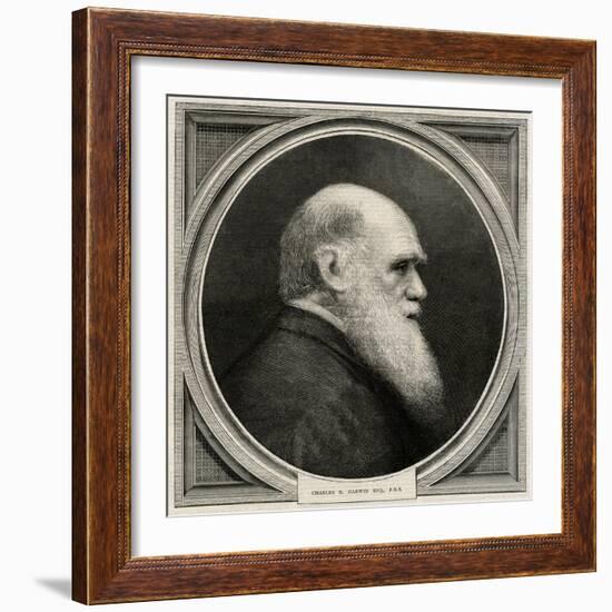 Charles Darwin-null-Framed Art Print