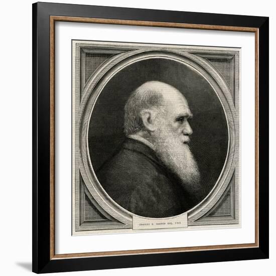 Charles Darwin-null-Framed Art Print