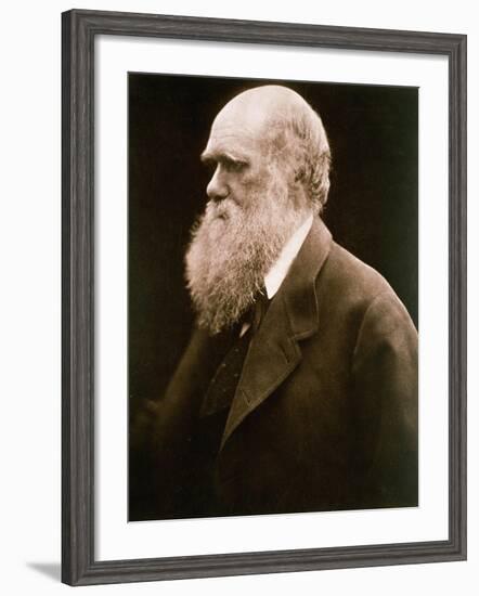 Charles Darwin-Julia Margaret Cameron-Framed Giclee Print