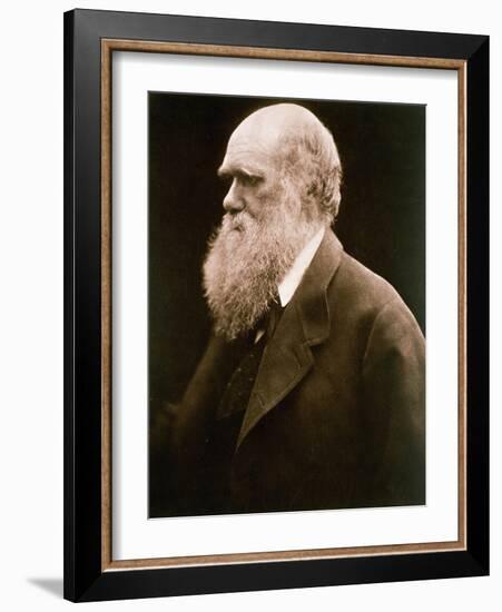 Charles Darwin-Julia Margaret Cameron-Framed Giclee Print