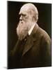 Charles Darwin-Julia Margaret Cameron-Mounted Giclee Print