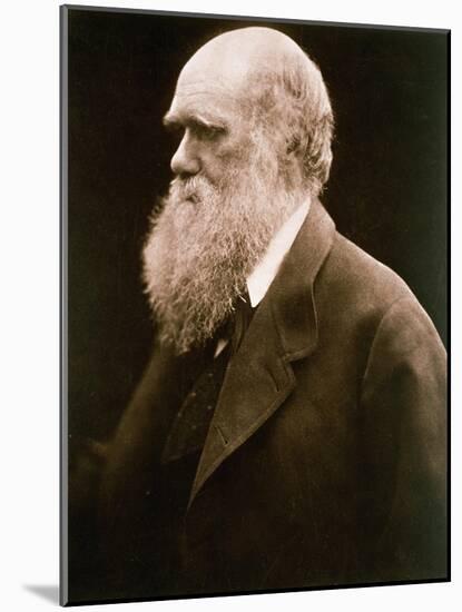 Charles Darwin-Julia Margaret Cameron-Mounted Giclee Print