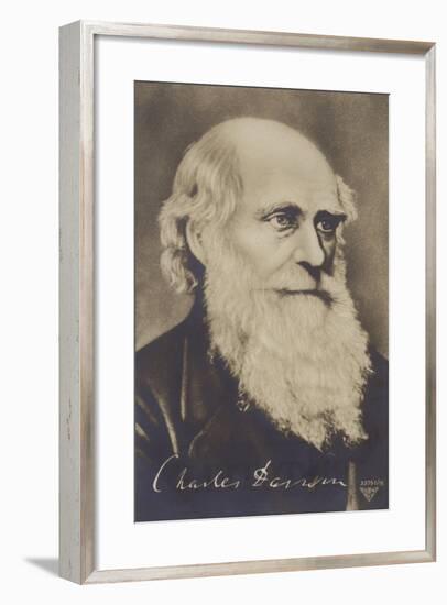 Charles Darwin-null-Framed Giclee Print