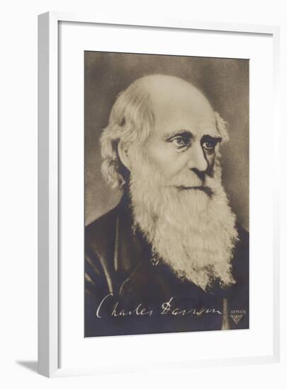 Charles Darwin-null-Framed Giclee Print