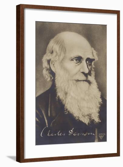 Charles Darwin-null-Framed Giclee Print
