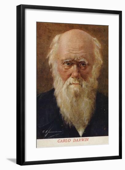 Charles Darwin-null-Framed Giclee Print