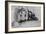 Charles Dickens - lived-Daniel Maclise-Framed Giclee Print