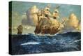 Stretched Canvas Print