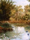 Dense Jungle in New Guinea-Charles E Gordon Frazer-Art Print