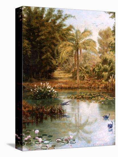 Stretched Canvas Print, , large