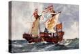Stretched Canvas Print