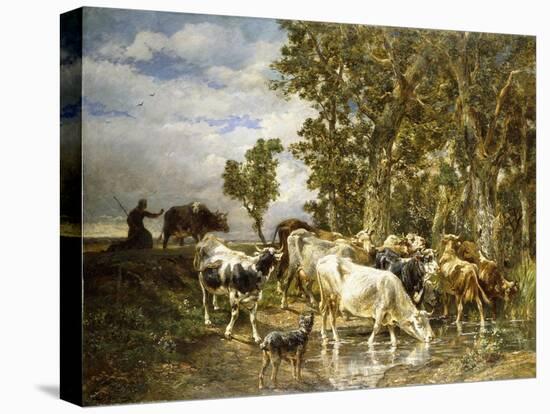 Stretched Canvas Print, , large