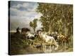 Stretched Canvas Print