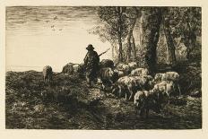 The Large Sheepfold, 1881 (Oil on Canvas)-Charles Emile Jacque-Giclee Print