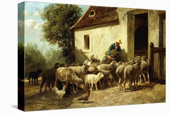 Stretched Canvas Print, , large