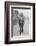 Charles Evans Hughes walking from Union Station Washington DC, 1913-7-Harris & Ewing-Framed Photographic Print