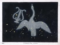 The Constellation of Taurus the Head Neck Shoulders and Forelegs of a Horned Bull-Charles F. Bunt-Art Print