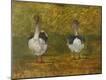 Giclee Print