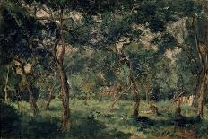 Olive Orchard, Early 1870S-Charles François Daubigny-Premier Image Canvas