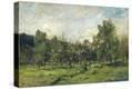 Stretched Canvas Print
