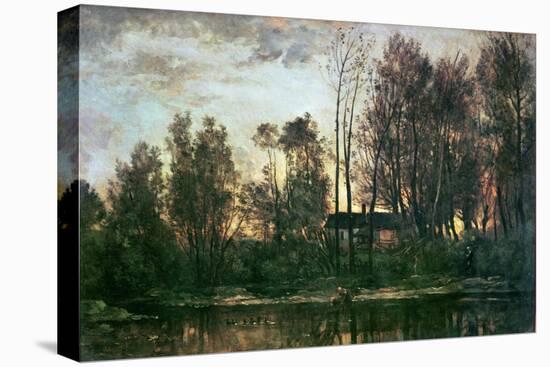 Stretched Canvas Print, , large